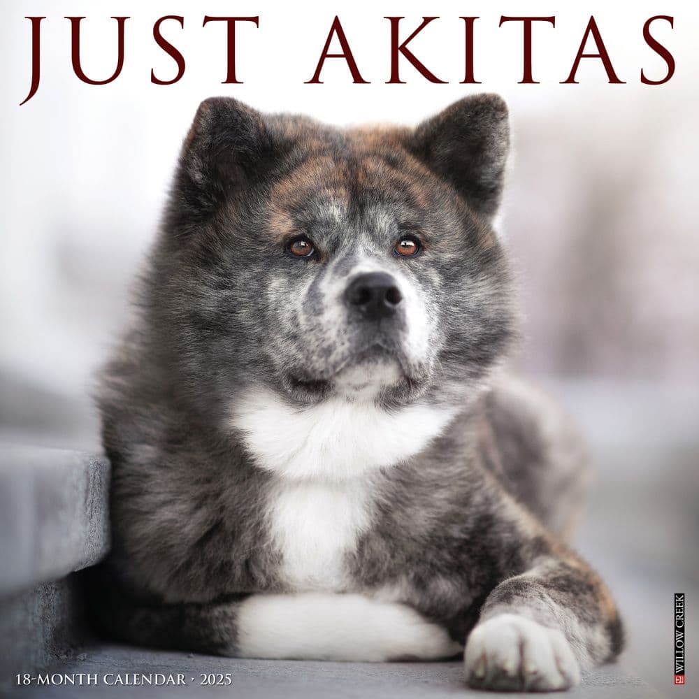 Just Akitas 2025 Wall Calendar