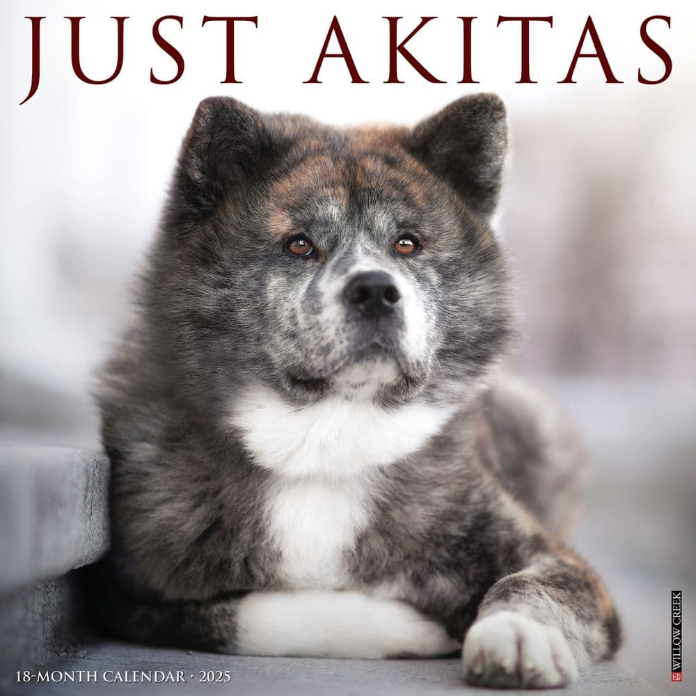 Just Akitas 2025 Wall Calendar Main Image