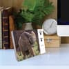 image Baby Animals 2025 Desk Calendar Third Alternate Image