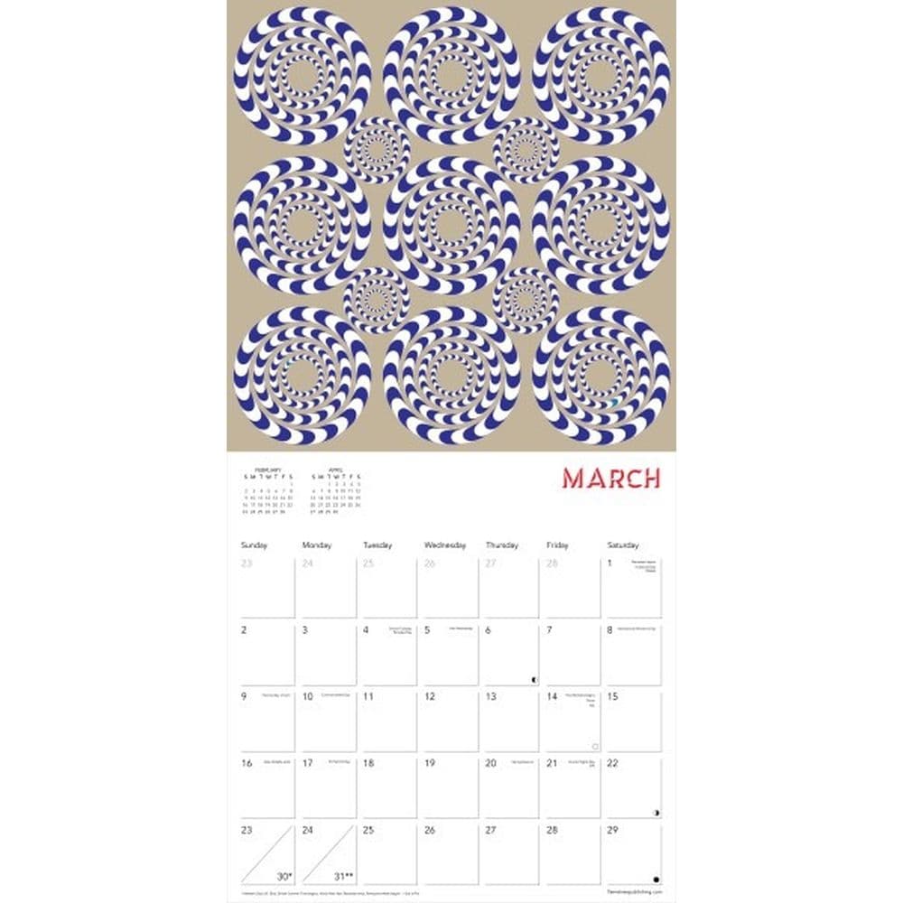 Optical Illusions 2025 Wall Calendar Second Alternate Image