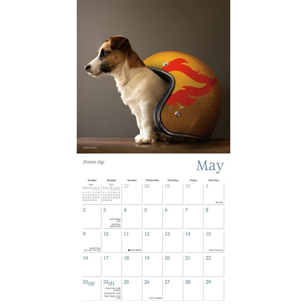 Dogma Wall Calendar