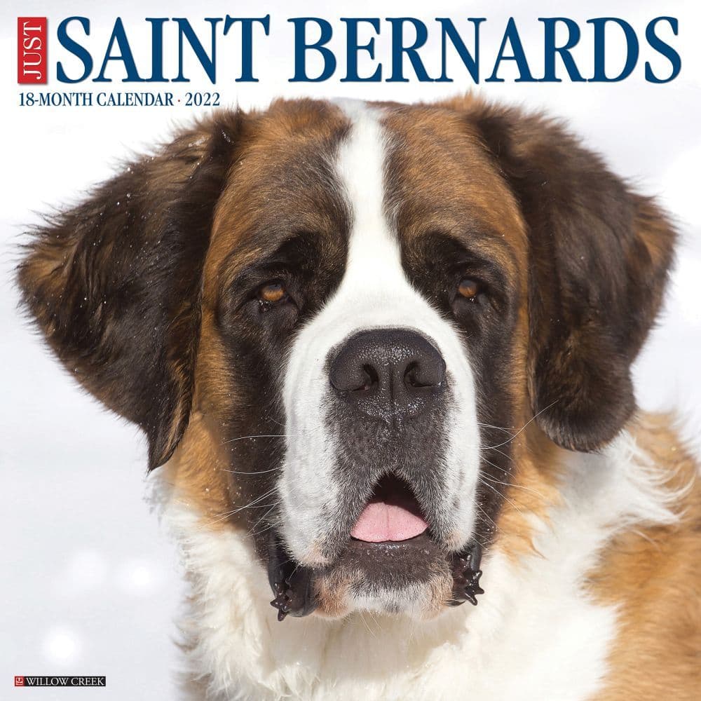 Saint Bernards 2022 Calendars