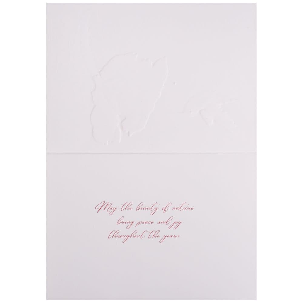 Hummingbird and Amaryllis 8 Count Boxed Christmas Cards Second Alternate Image width="1000" height="1000"