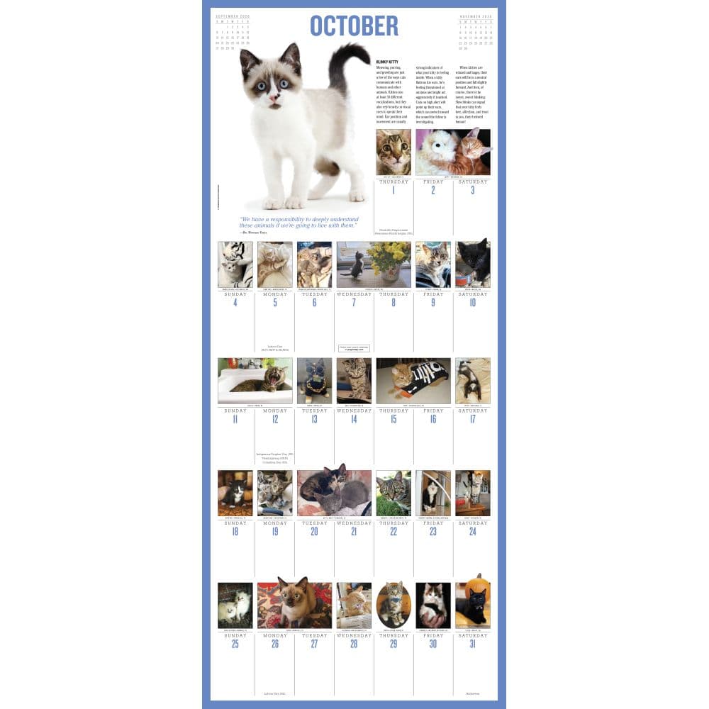 Kittens 365 Days 2026 Wall Calendar Second Alternate Image