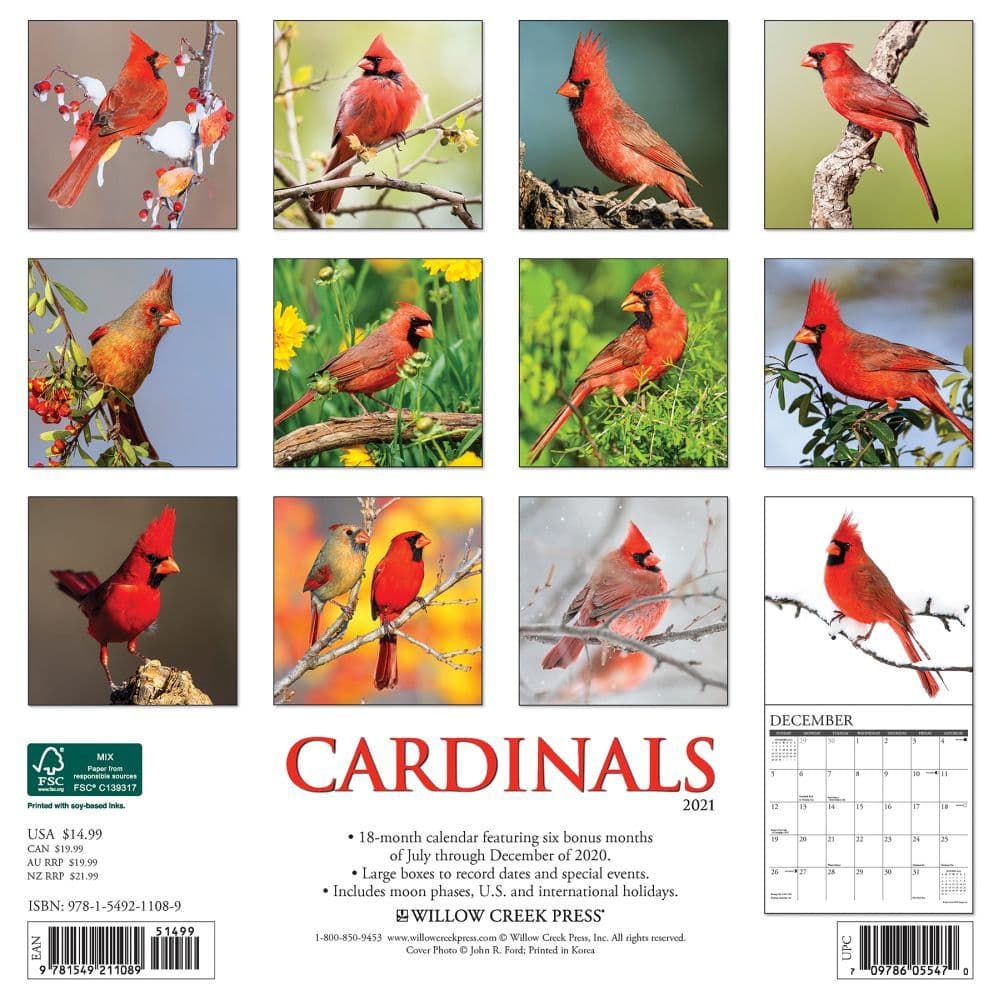 Cardinals Wall Calendar