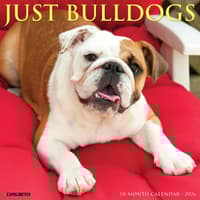 image Just Bulldogs 2026 Wall Calendar Main Image