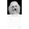 image Dog Portraits 2026 Wall Calendar Third Alternate Image