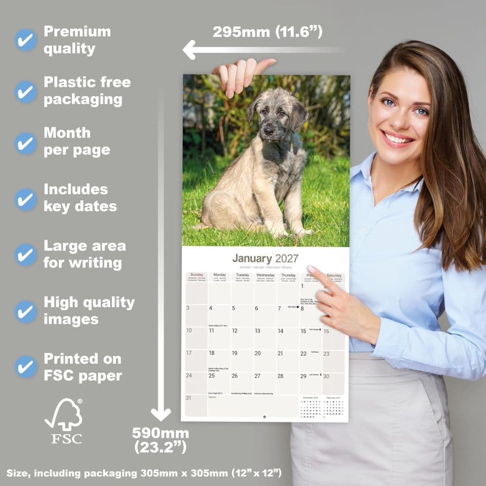 Irish Wolfhound 2027 Wall Calendar Fifth Alternate Image