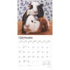 image Guinea Pigs 2025 Wall Calendar Third Alternate Image