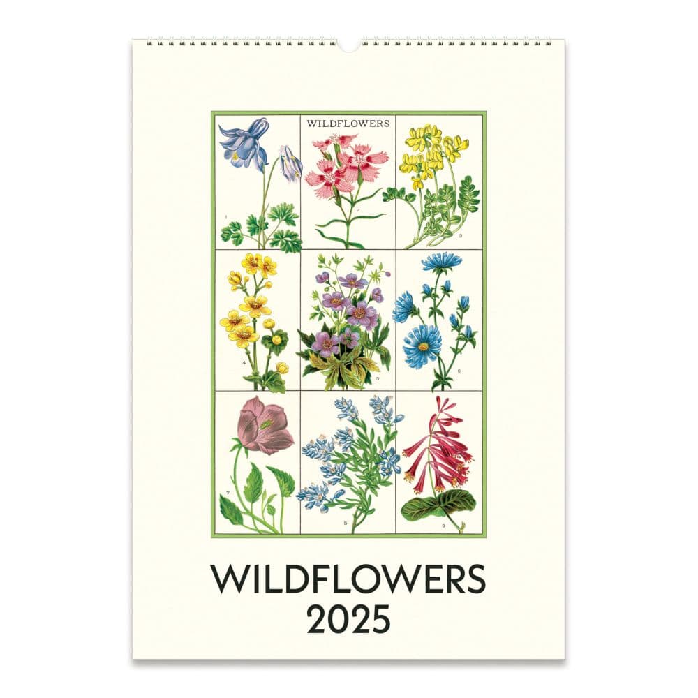 Wildflowers Poster 2025 Wall Calendar