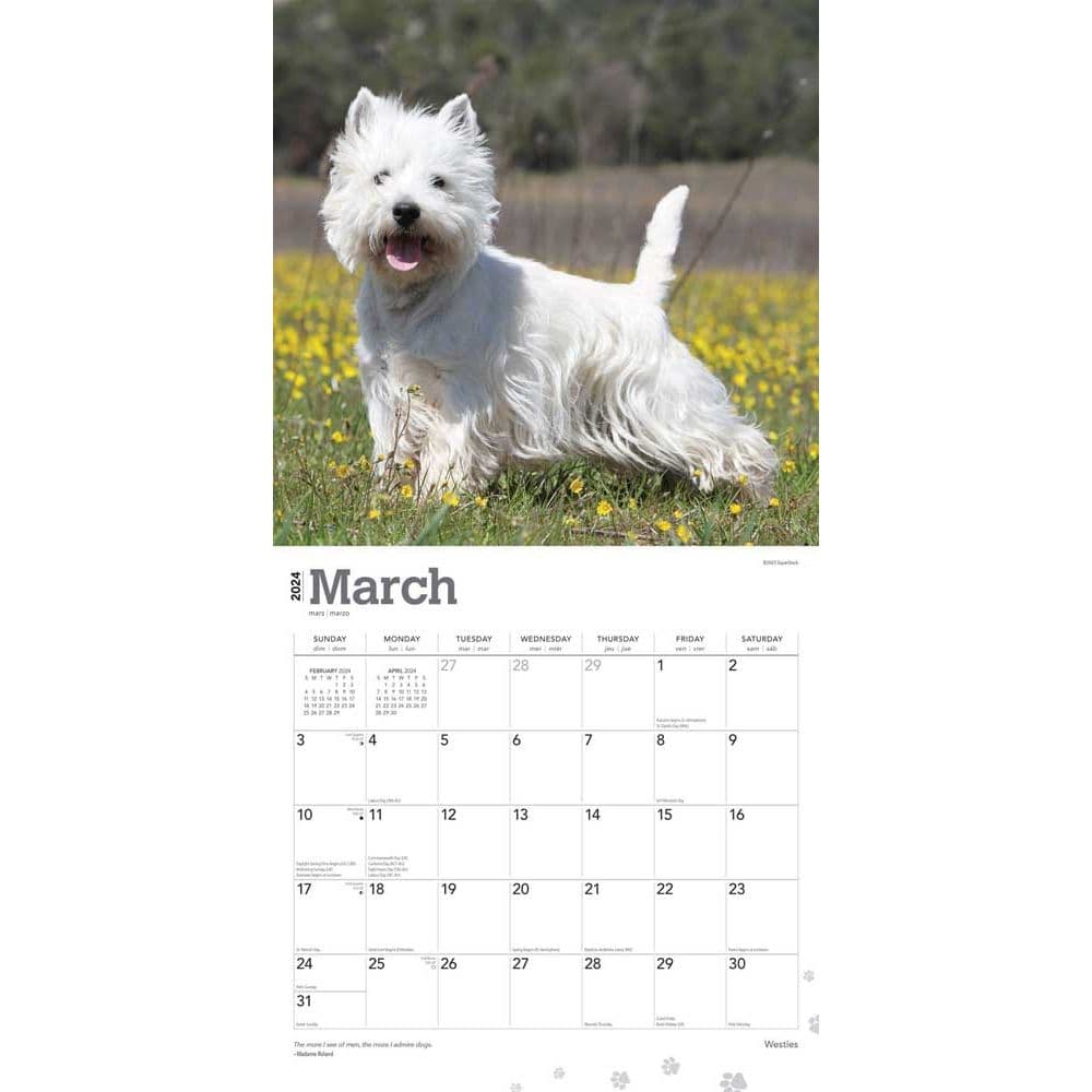 West Highland White Terriers  2024 Wall Calendar Alternate Image 2