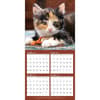 image Curious Kittens 2024 Mini Wall Calendar Third Alternate Image width=&quot;1000&quot; height=&quot;1000&quot;