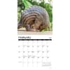 image Exotic Animals 2026 Wall Calendar