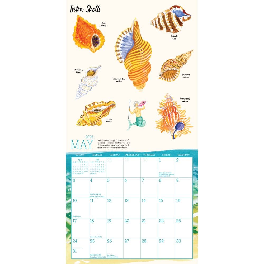 Searching for Seashells 2026 Mini Wall Calendar Third Alternate Image
