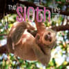 image Sloth Life 2025 Wall Calendar Main Image