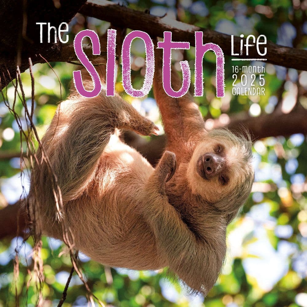 Sloth Life 2025 Wall Calendar Main Image