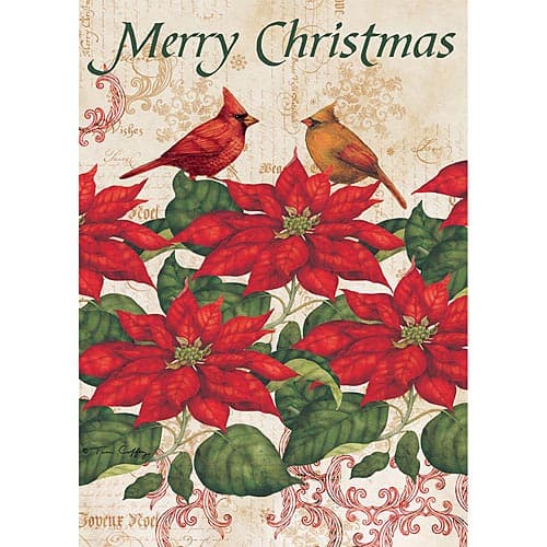 Poinsettia Outdoor Flag-Large - 28 x 40 by Tim Coffey Main Image