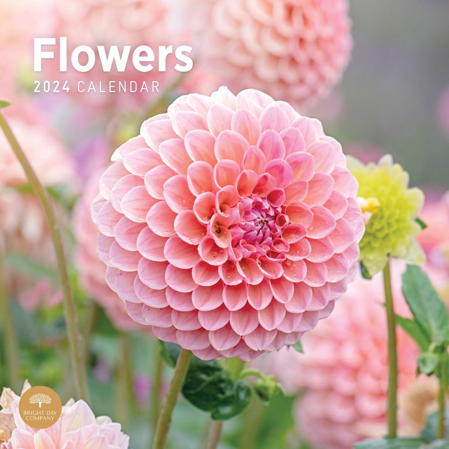 flowers-2024-wall-calendar-calendars