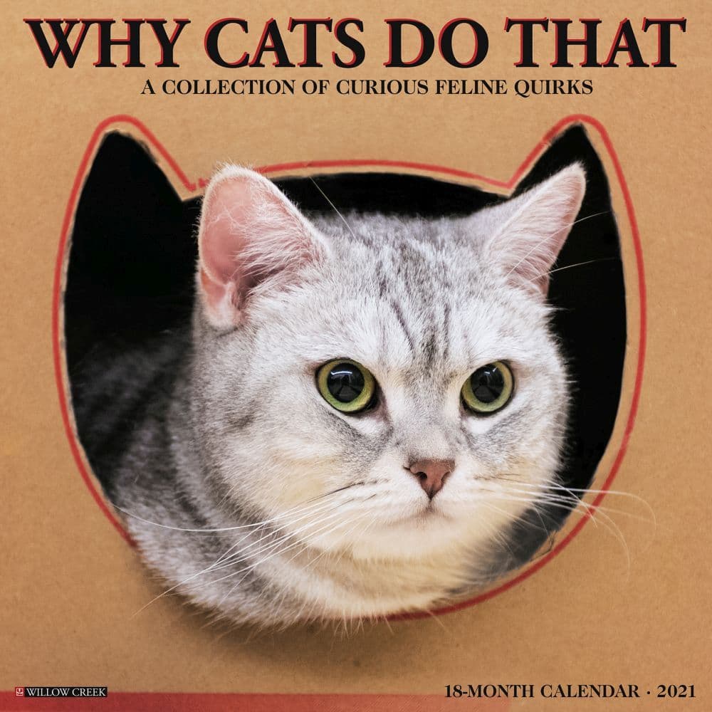 Why Cats Do That Wall Calendar