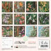 image Kew Gardens Exotic Plants 2025 Mini Wall Calendar First Alternate Image width=&quot;1000&quot; height=&quot;1000&quot;