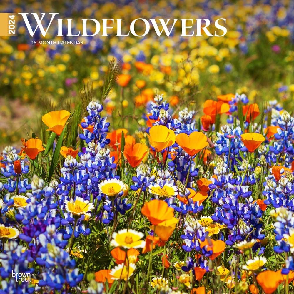 Wildflowers 2024 Wall Calendar Calendars Com   1f425c9b 86cf 41af A4f0 A59e86e1c525