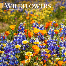 Wildflowers 2025 Wall Calendar