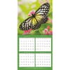 image Butterflies 2024 Mini Wall Calendar Third Alternate Image width=&quot;1000&quot; height=&quot;1000&quot;