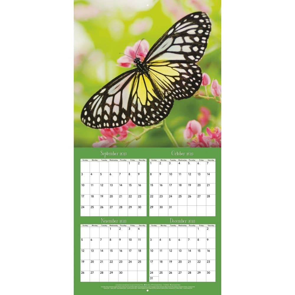Butterflies 2024 Mini Wall Calendar Third Alternate Image width=&quot;1000&quot; height=&quot;1000&quot;