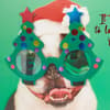 image Dog with Tree Glasses Christmas Card Third Alternate Image width=&quot;1000&quot; height=&quot;1000&quot;