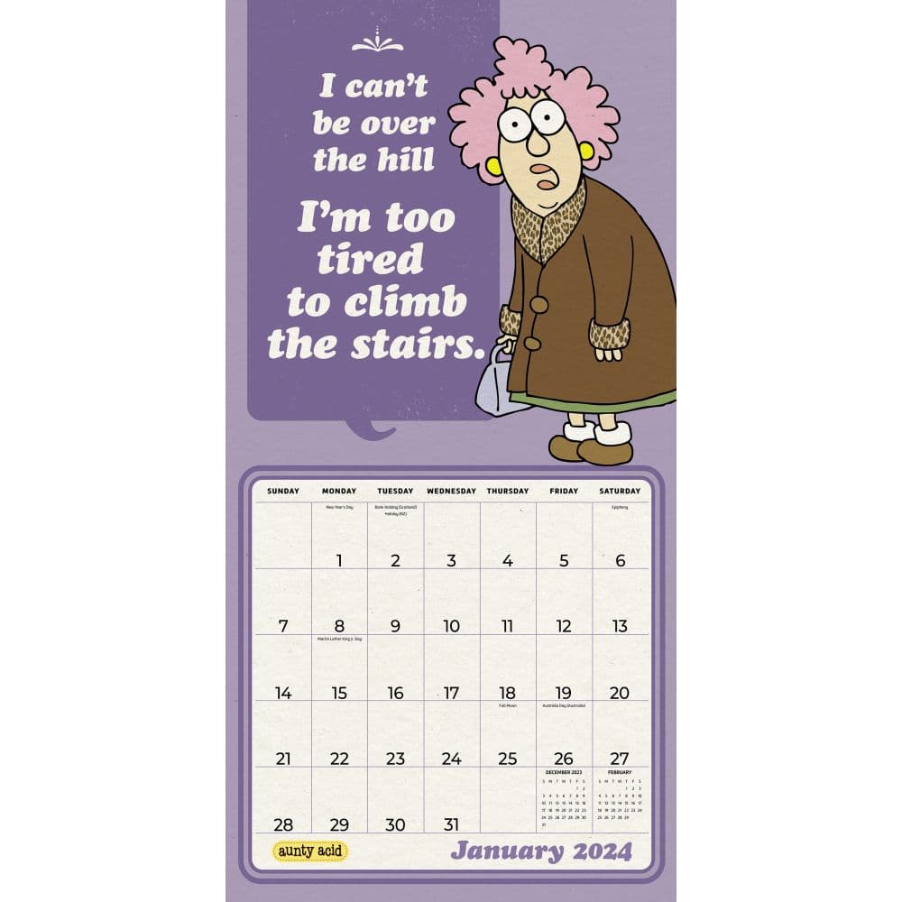 Aunty Acid 2024 Wall Calendar