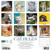 image Cat Rules 2025 Wall Calendar