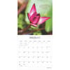 image Mindful Living 2025 Wall Calendar