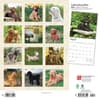 image Labradoodles 2024 Wall Calendar First Alternate Image width=&quot;1000&quot; height=&quot;1000&quot;