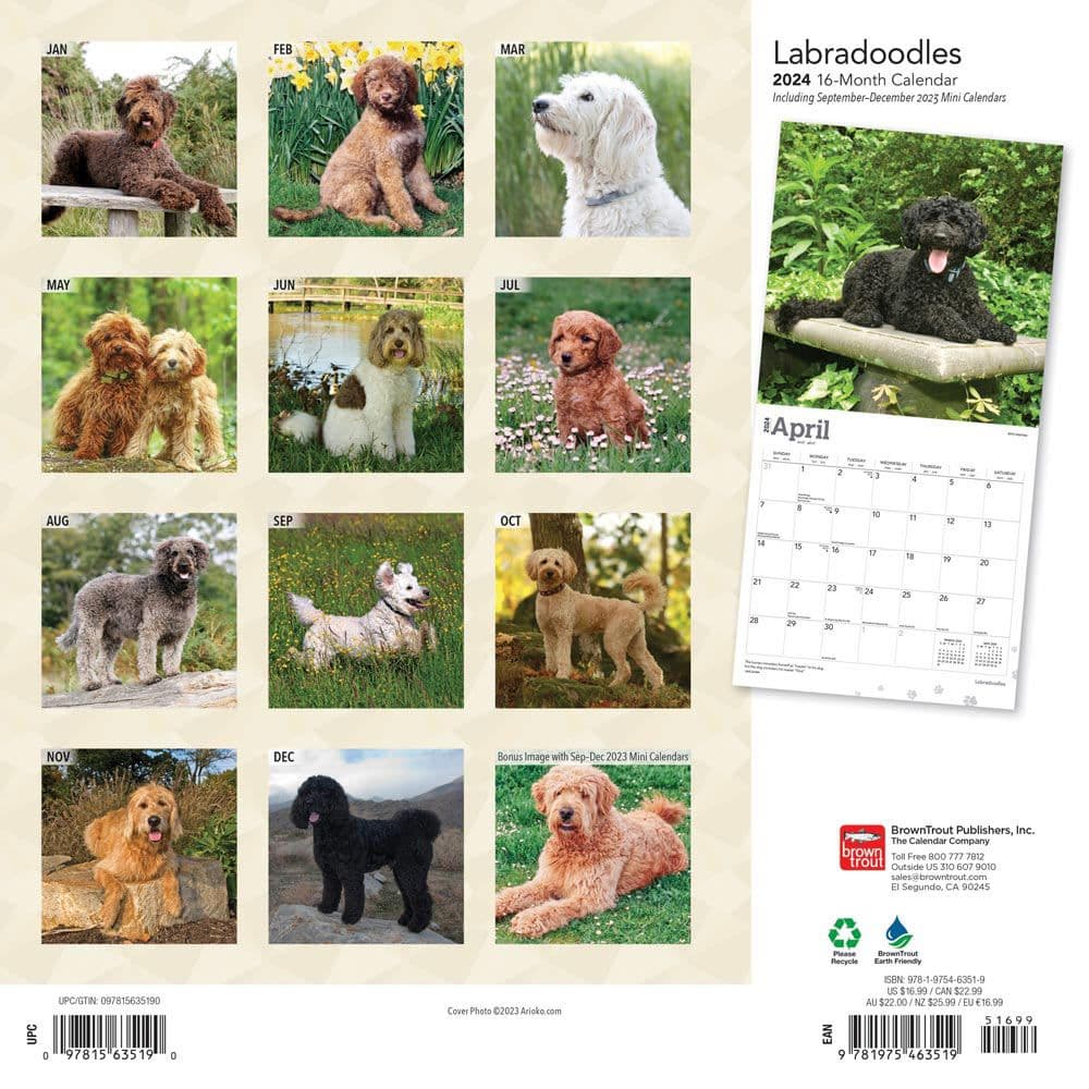 Labradoodles 2024 Wall Calendar First Alternate Image width=&quot;1000&quot; height=&quot;1000&quot;