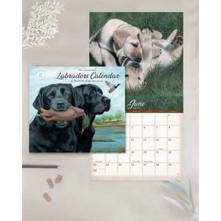 Labradors 2024 Wall Calendar - Calendars.com