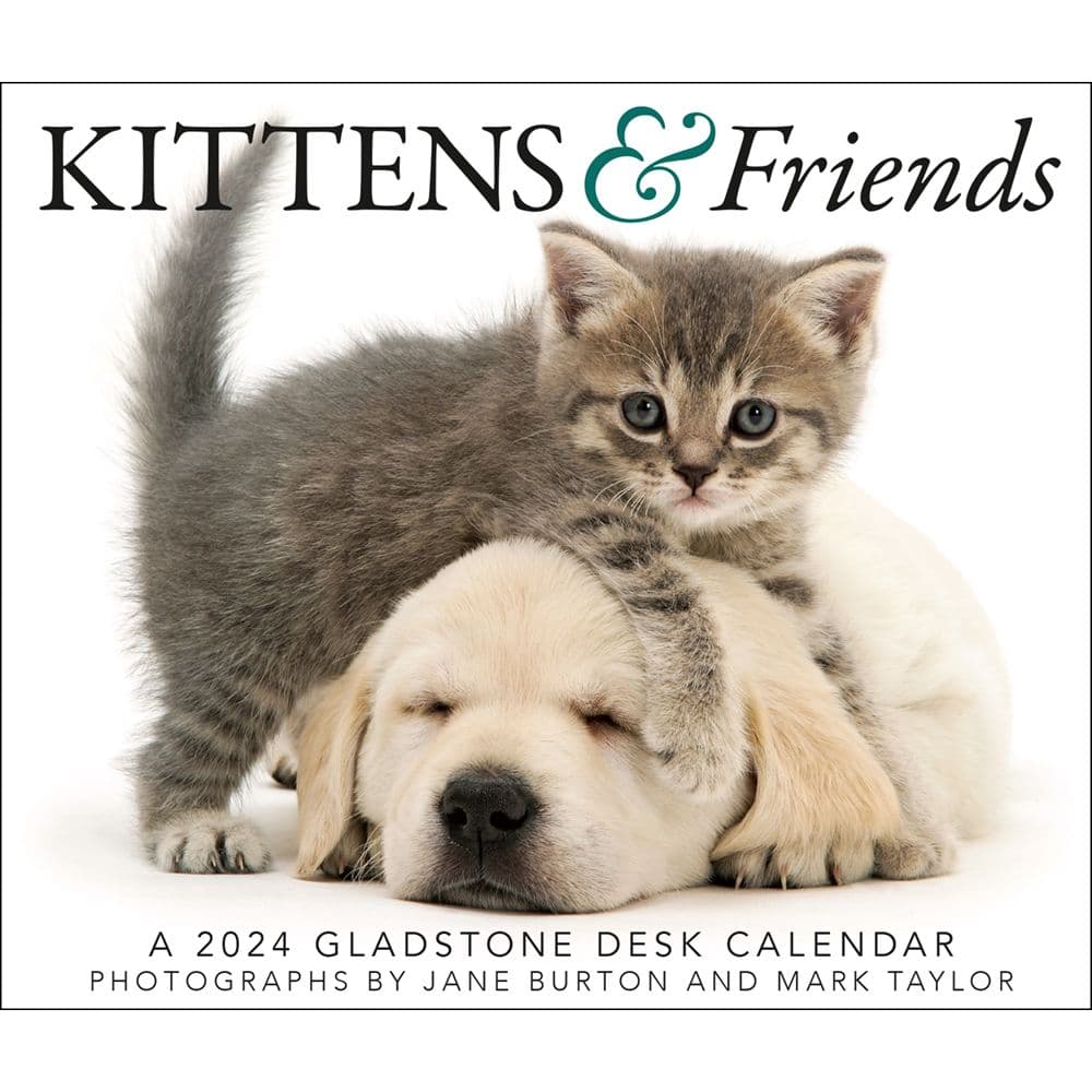 Kittens and Friends 2024 Desk Calendar