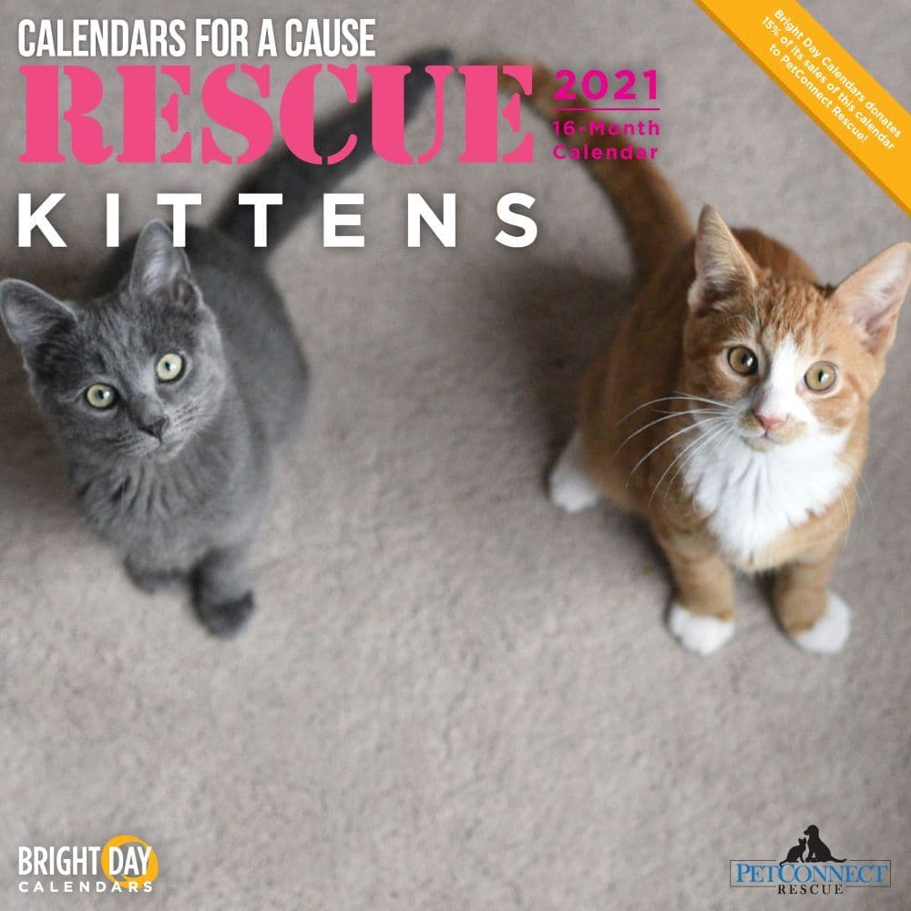Kittens Rescue Wall Calendar