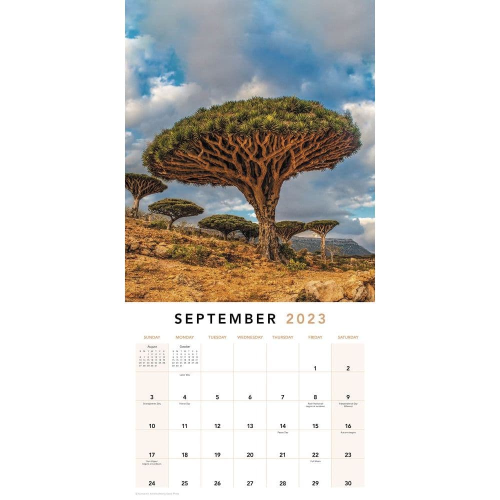 Mother-Nature-2023-Wall-Calendar - Calendars.com