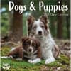 image Dogs And Puppies 2025 Desk Calendar Sixth Alternate Image