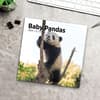 image Baby Pandas 2024 Wall Calendar