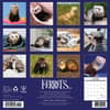 image Ferrets 2025 Wall Calendar First Alternate Image width="1000" height="1000"