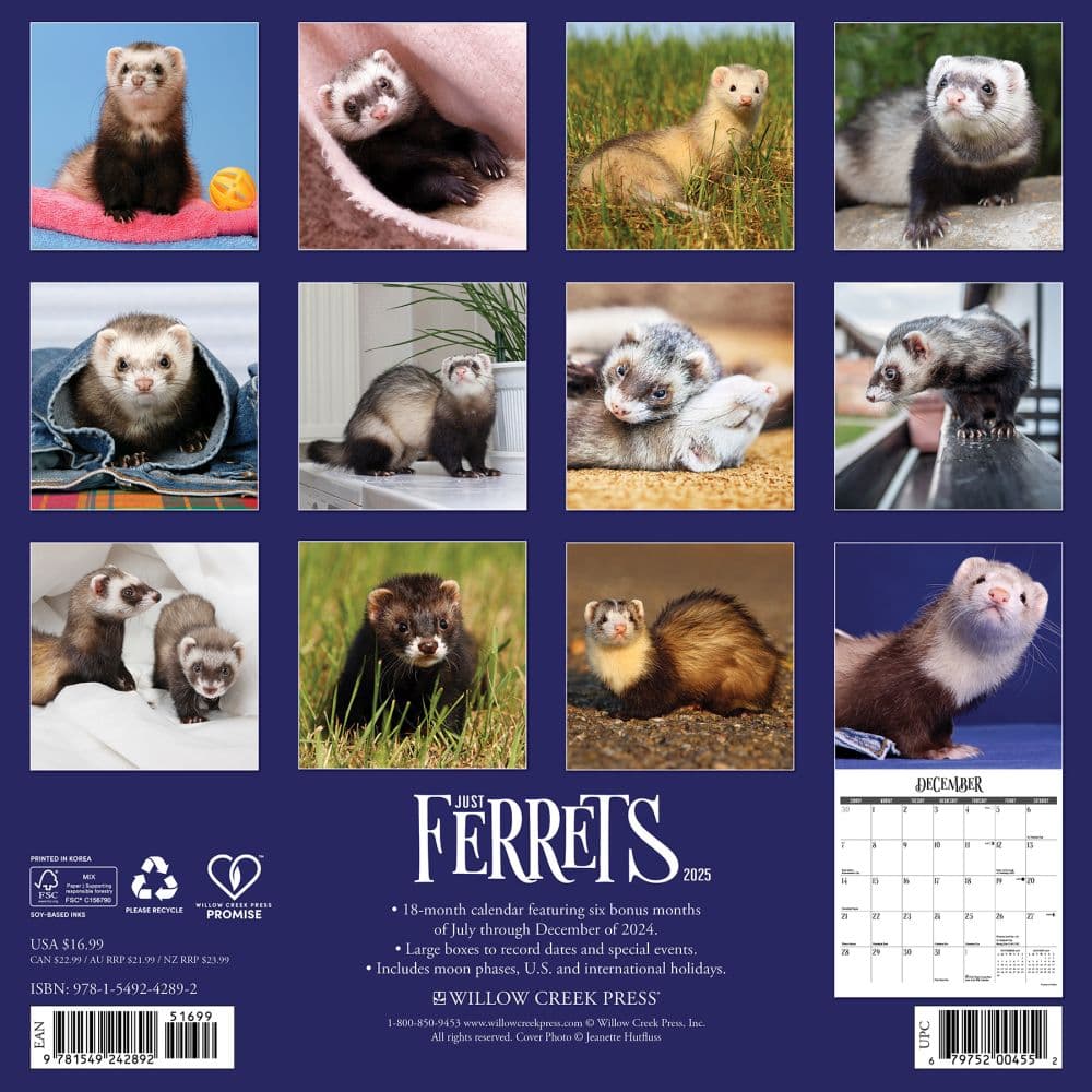 Ferrets 2025 Wall Calendar First Alternate Image width="1000" height="1000"