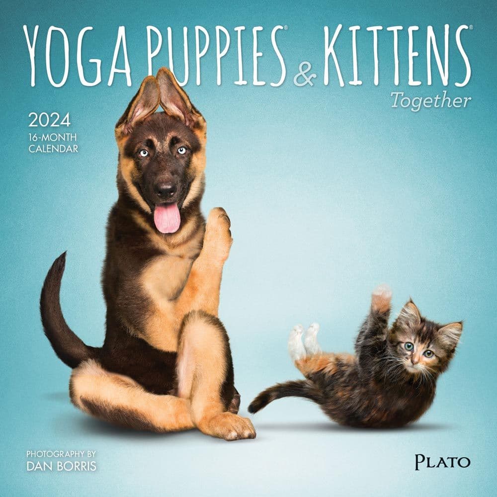 Yoga Puppies &amp; Kittens 2024 Mini Wall Calendar Main Product Image width=&quot;1000&quot; height=&quot;1000&quot;