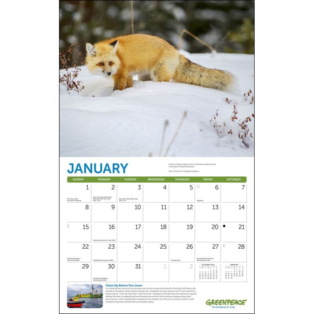 Greenpeace 2023 Wall Calendar - Calendars.com