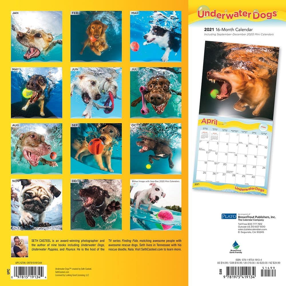 Underwater Dogs Calendar 2023 Underwater Dogs 2021 Wall Calendar - Calendars.com