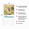 image Alaskan Malamutes 2025 Wall Calendar Fourth Alternate Image width="1000" height="1000"