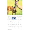 image Life in the Northwoods 2025 Wall Calendar Second Alternate Image width="1000" height="1000"