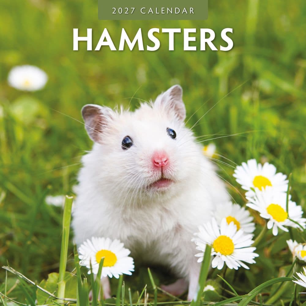Hamsters 2027 Wall Calendar Main Product Image