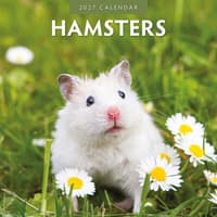 image Hamsters 2027 Wall Calendar Main Product Image