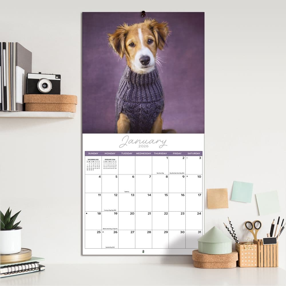 Rachael Hale Loveable Dogs 2026 Wall Calendar Fifth Alternate Image